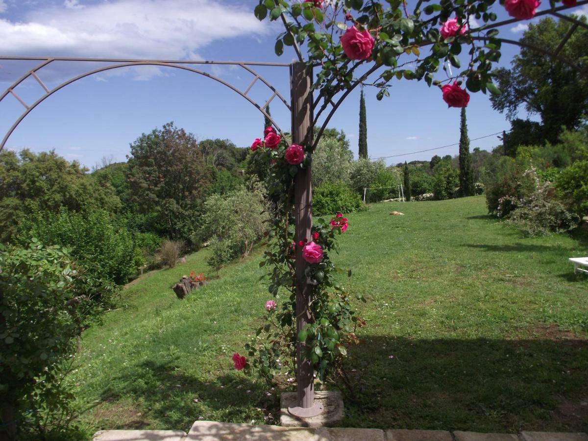 Appartamento Soleil Et Farniente Cervione Esterno foto